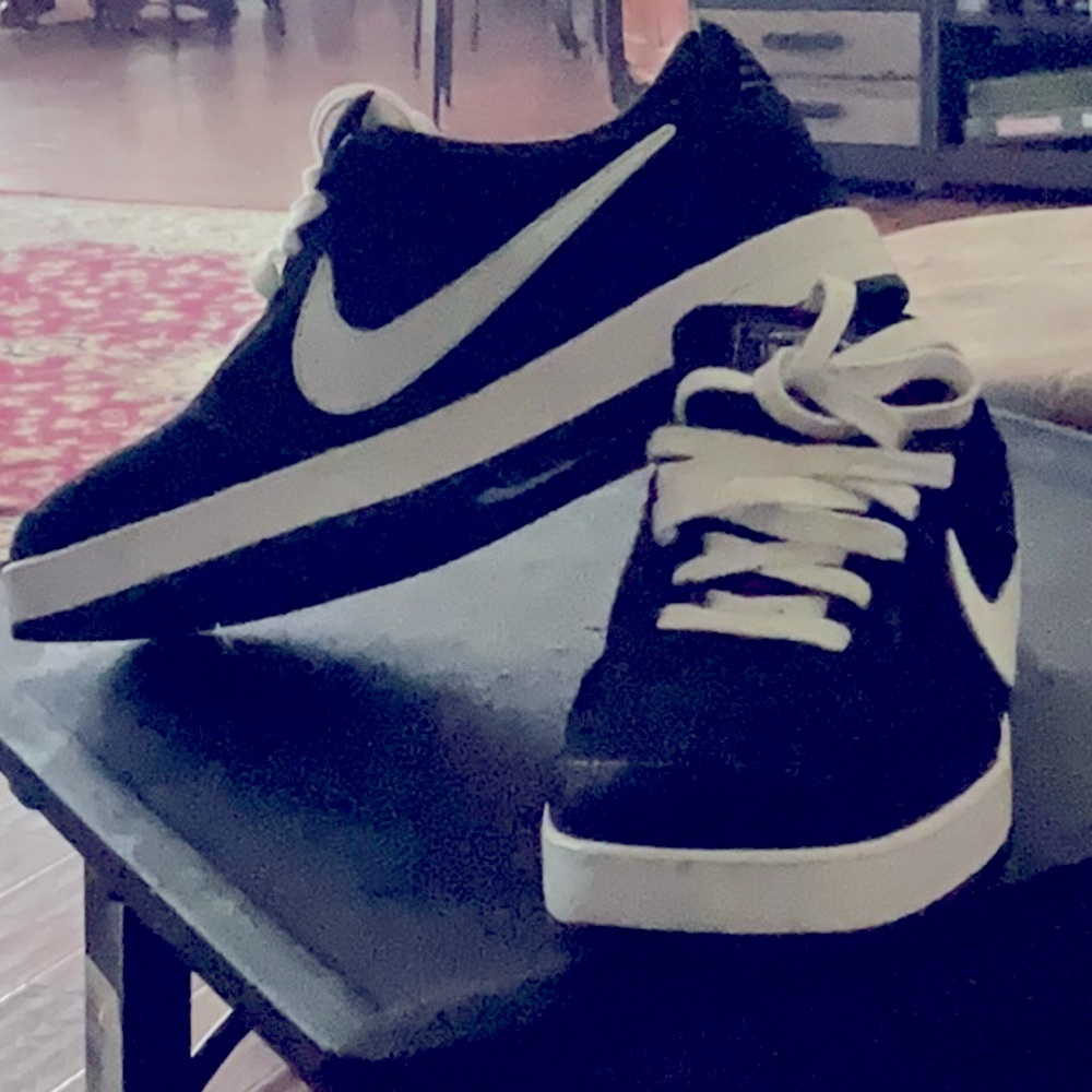 NIKE ZOOM AIR PAUL RODRIGUEZ SIZE 9!